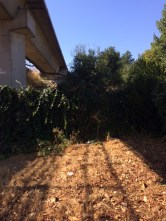 Site of BART - ACE Connection 2