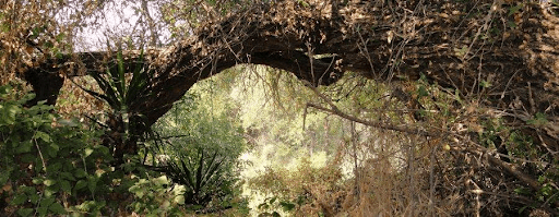 Along Route of Proposed Highway